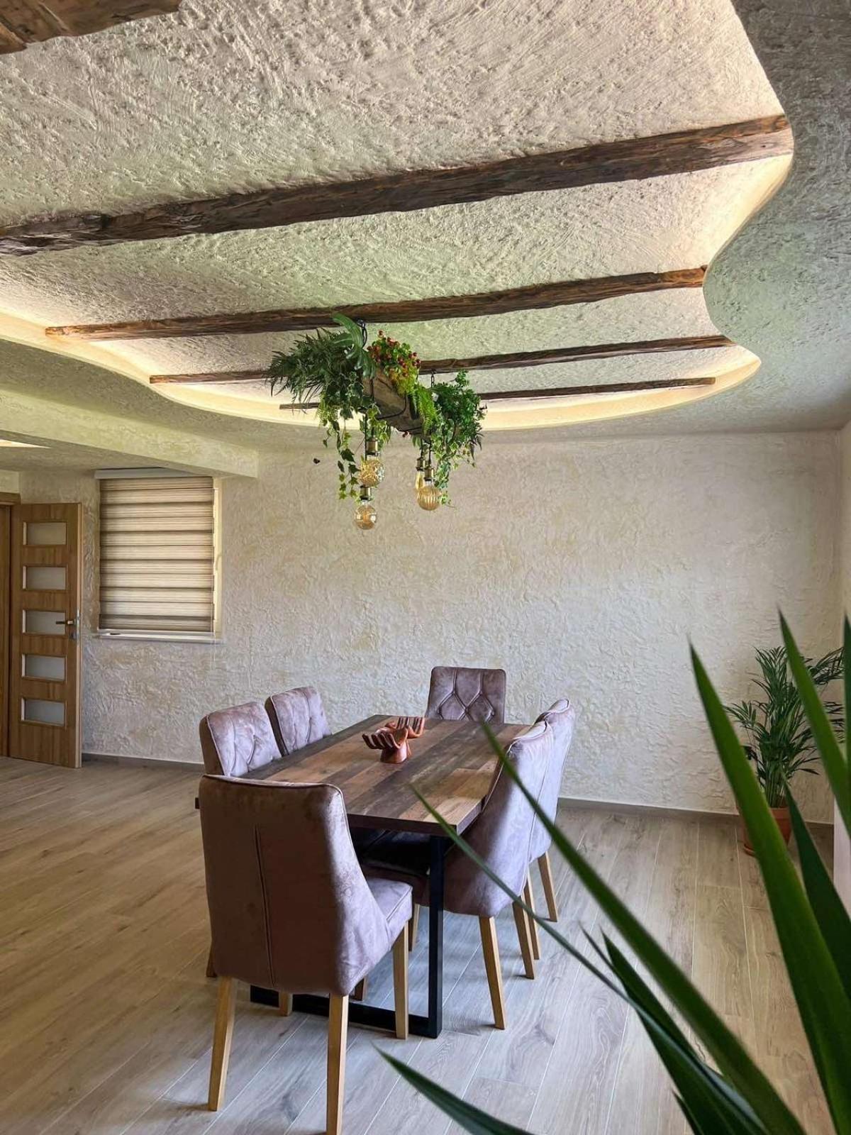 Apartment Pizzeria Actros Nova Topola
